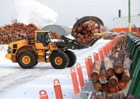 Лесопромышленники России жалуются на блокировку поставок через Казахстан
