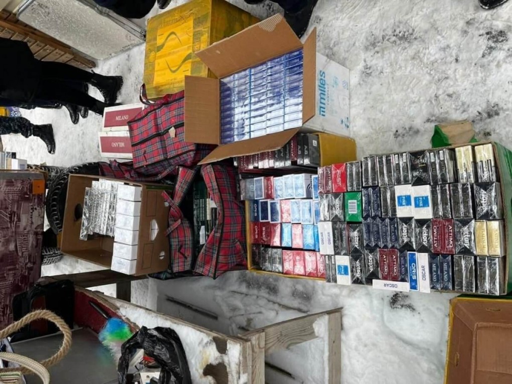 63f5ad74a1785352187565