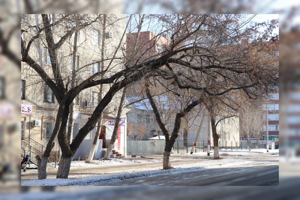 InShot_20230207_100806595