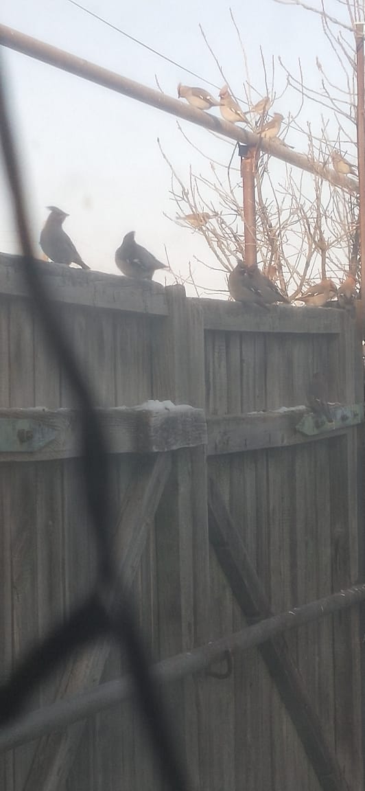 WhatsApp Image 2023-02-07 at 21.47.00