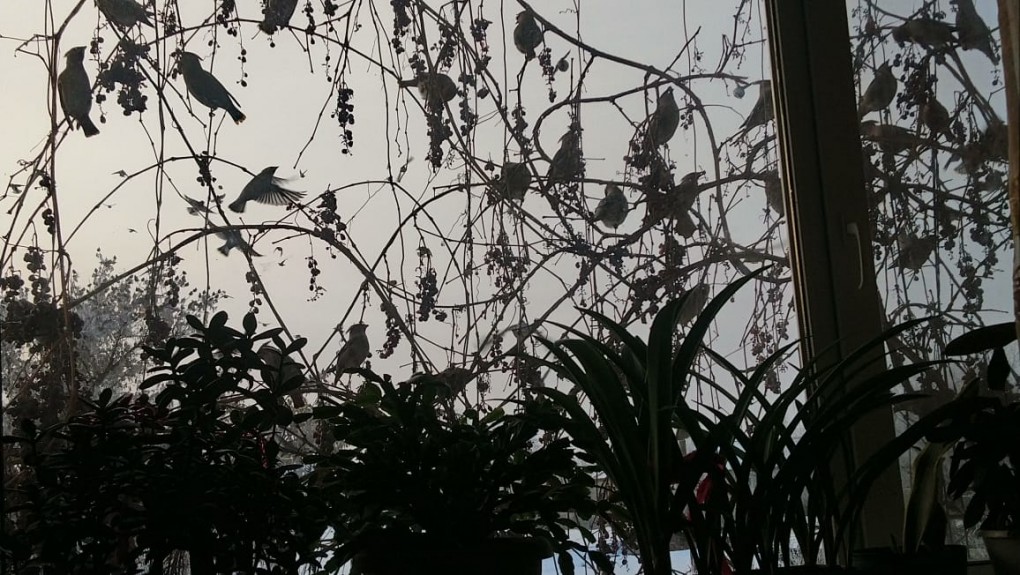 WhatsApp Image 2023-02-07 at 22.08.13