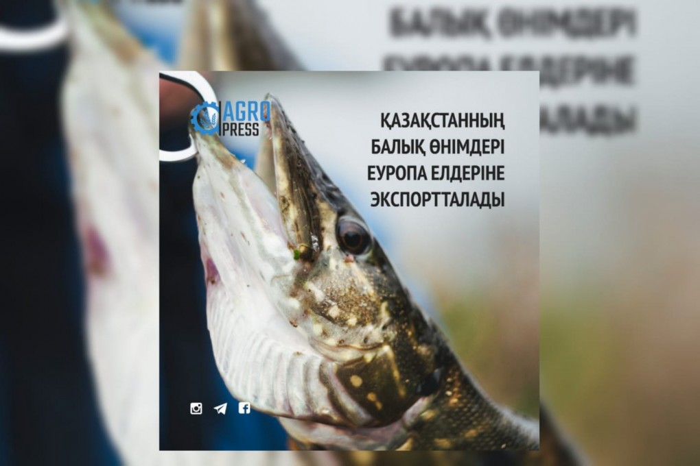 15add3c5-208a-461c-b72d-96ca5e890333