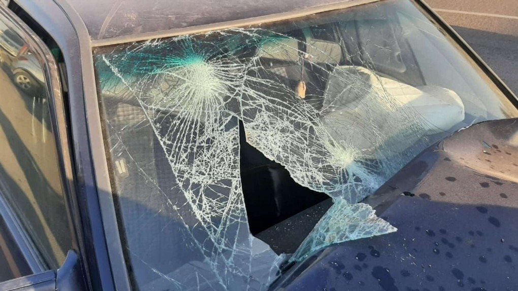 16585710_115_0_1164_590_2072x0_60_0_0_3060cbc3da53b5c7e9532ec6f1dc5e3d