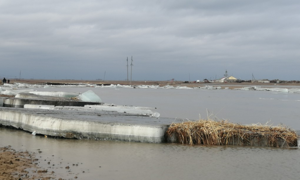 Стропон онлайн орыс порно