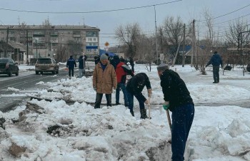 WhatsApp Image 2023-03-04 at 11.44.46