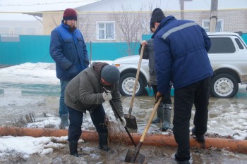 WhatsApp Image 2023-03-11 at 20.06.48