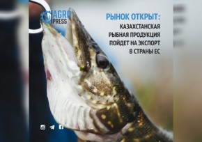 Рынок открыт: казахстанская рыбная продукция пойдет на экспорт в страны ЕС