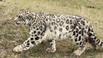 1abb2d0c9c3a49248cf97a0be216a094