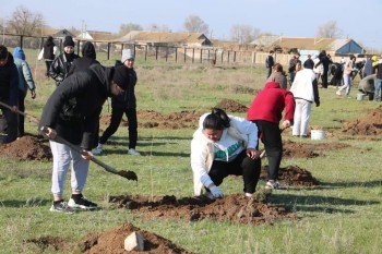 337ee313-37fc-47dd-bf1e-e8417a6b7501