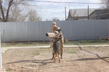 5b4dfcc2-688f-405a-ab51-8b6788597531