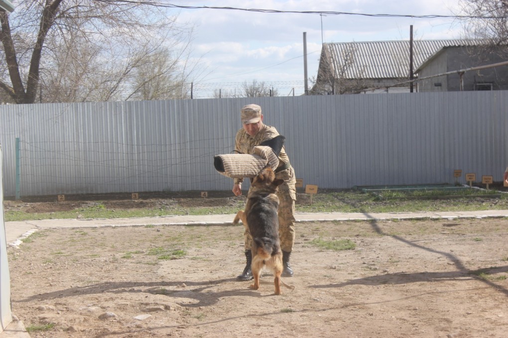 5b4dfcc2-688f-405a-ab51-8b6788597531