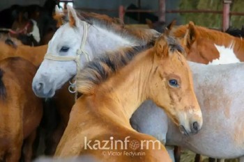 9003ad64-ea8c-40af-a35c-81993a71c9d4