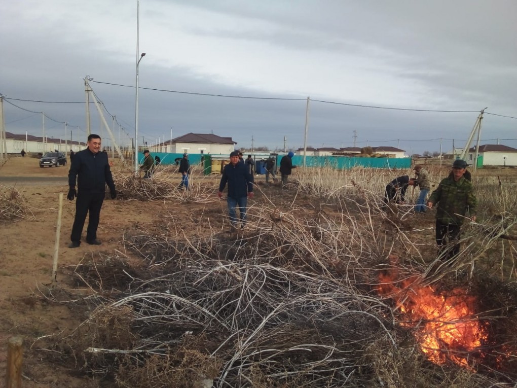 Сенбілік фото