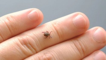 e02bccda-175b-47c3-b657-0a68af5573c6