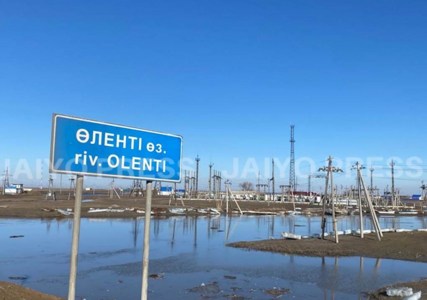 Өте семіз, үлкен көлемдегі пуд тәрізді кеуделер