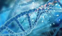 Какой ген сыграл наибольшую роль в формировании человека, выяснили ученые