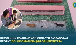 Школьник из Абайской области разработал проект по автоматизации овцеводства