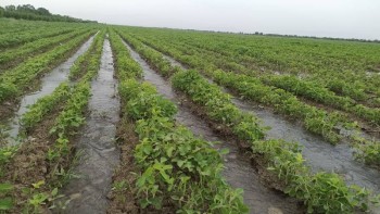 13aa50e7-e100-4f74-8b01-8838bade6aff