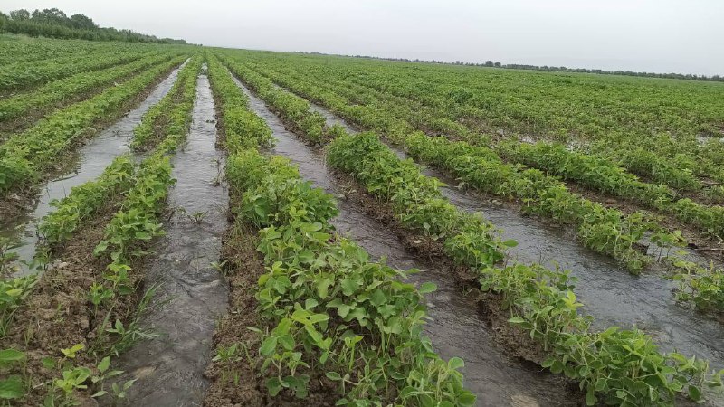 13aa50e7-e100-4f74-8b01-8838bade6aff