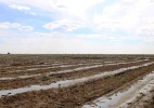 Продкорпорация увеличила форвардное финансирование аграриев до 29,5 млрд тенге