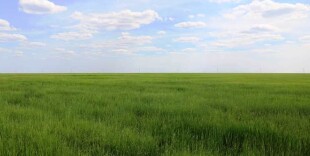 В доход государства возвращены земли общей стоимостью 343 млн теңге