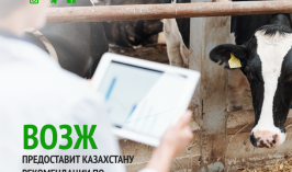 ВОЗЖ предоставит Казахстану рекомендации по восстановлению статуса с ящуром в июне