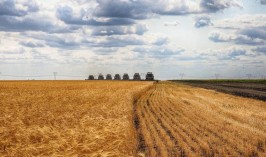Казахстанским фермерам до сих пор не выплатили почти 32 млрд субсидий