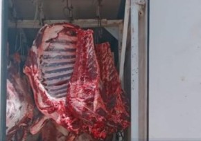 Из Казахстана незаконно пытались вывезти 14 тонн мяса