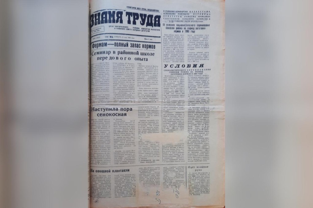 WhatsApp Image 2023-07-12 at 00.08.12 (1)