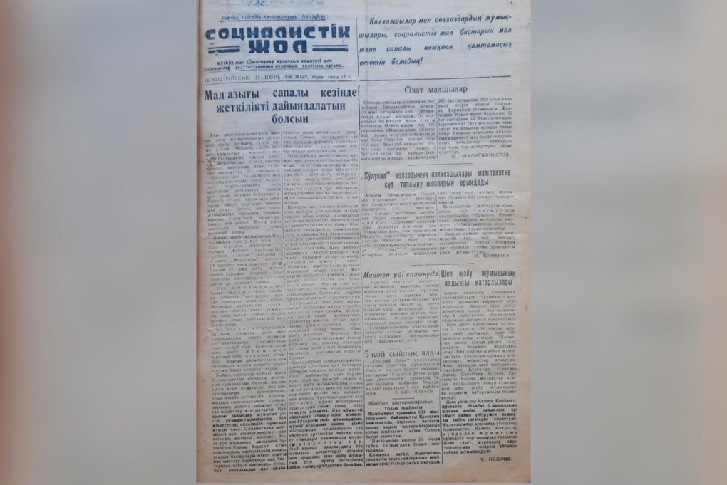 WhatsApp Image 2023-07-12 at 00.08.12