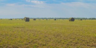 В Казахстане в госсобственность вернули 14 тысяч гектаров земли