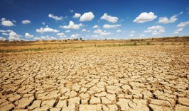 Сильная засуха ожидается в Казахстане: фермерам хотят продлить срок оплаты кредитов