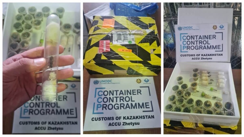 64e58e0fb59b9979903334