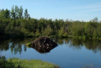 IMG-20230720-WA0069