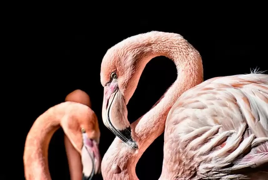 WhatsApp Image 2023-08-04 at 09.05.14