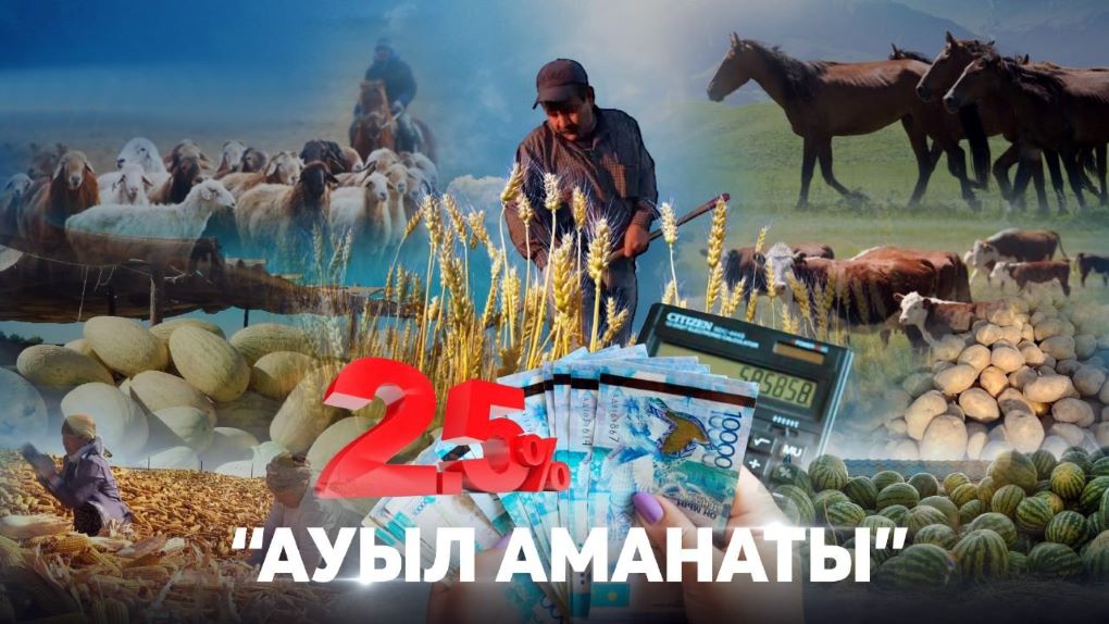 ауыл аманаты1