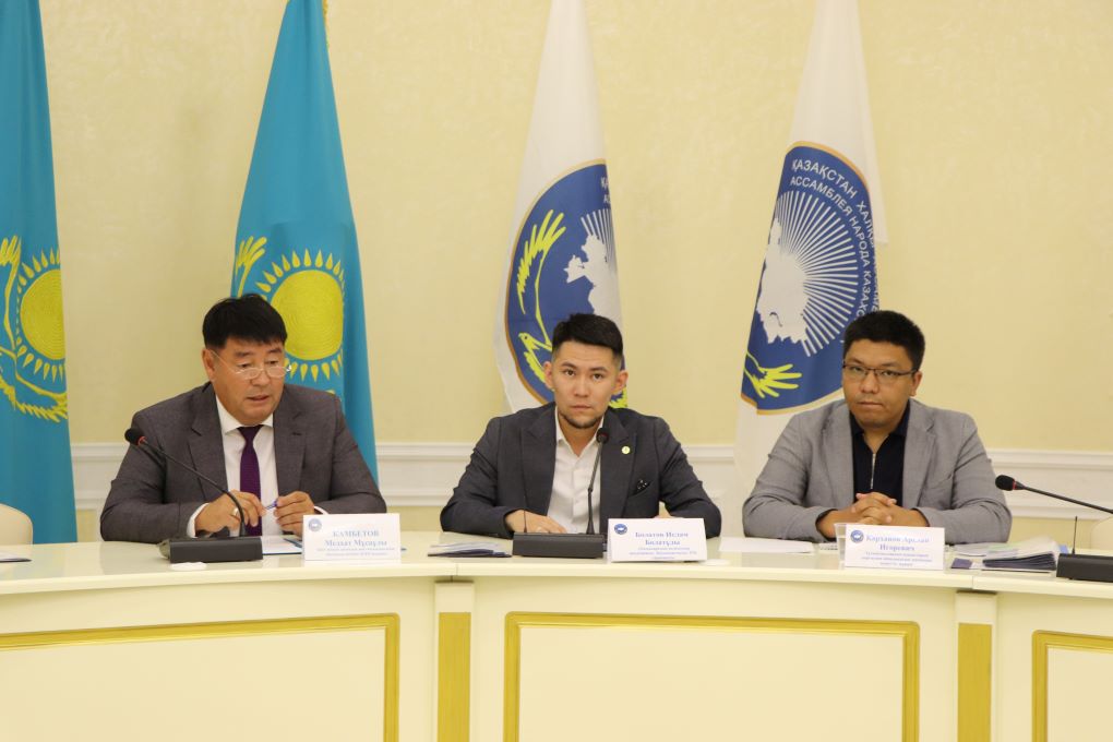 медиация - мади салык (1)