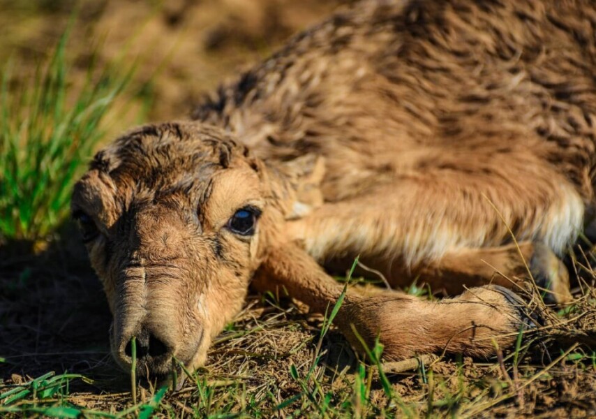 Қызға жыныстық қатынас арқылы ләззат беріңіз