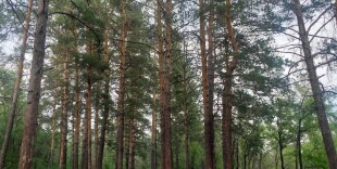 «Хан тоғайы» – новый экопарк