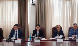 Японская компания IMS проявила интерес к сотрудничеству в казахстанском секторе здравоохранения