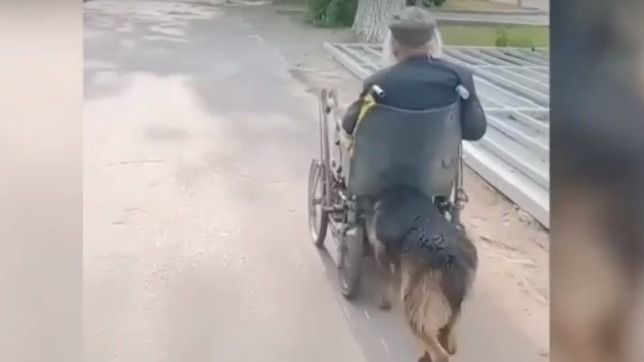 1b80d86dc2d64dba89eebe7ed9b64ec7