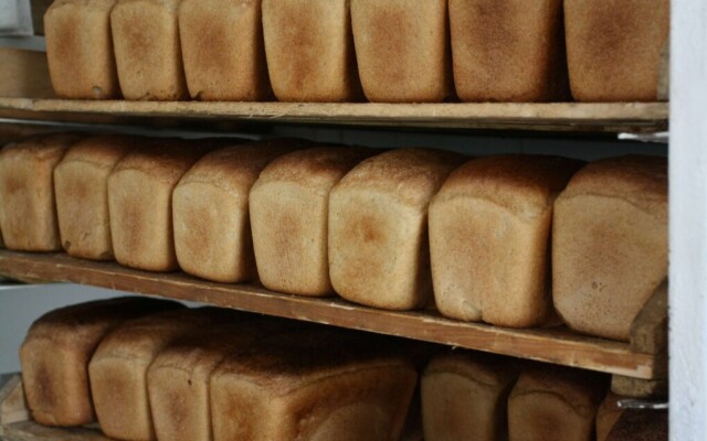 Сколько стоит хлеб в городах Казахстана