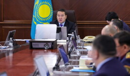 В Казахстане запустят 170 новых проектов в пищевой промышленности, машиностроении и металлургии в этом году