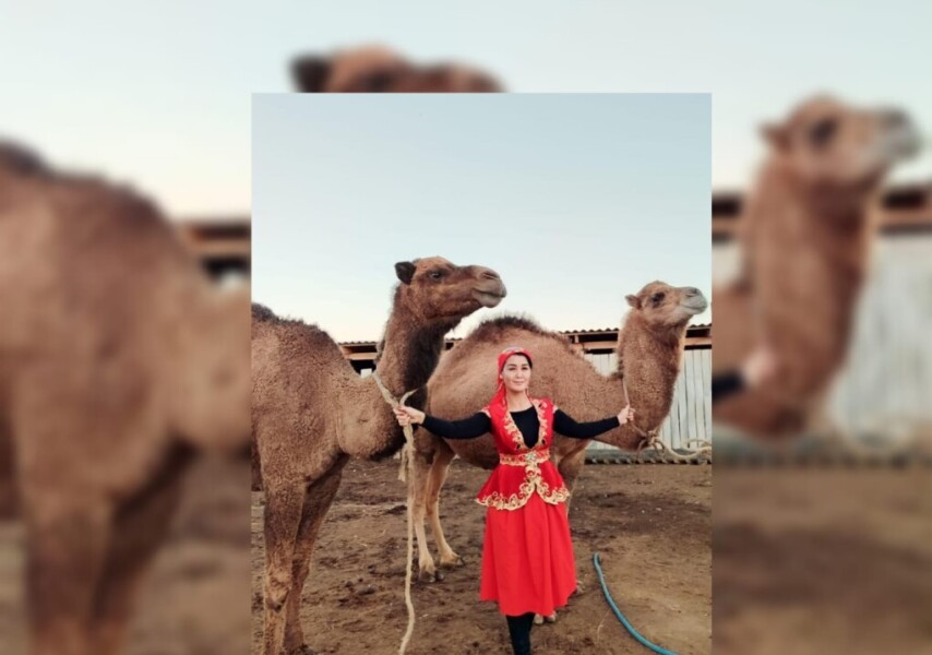 Джессимен покемон порносы