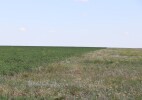 Сырым ауданында құны 75 млн теңгеден асатын жер мемлекетке қайтарылды