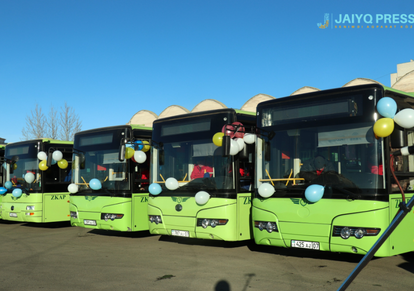 Пискадағы үлкен мүшесінің фотосы