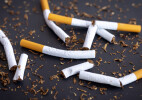 Сигареты на миллиард тенге уничтожили в Уральске