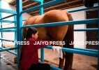 Количество сельскохозяйственных кооперативов в Казахстане за год увеличилось на 9,6%