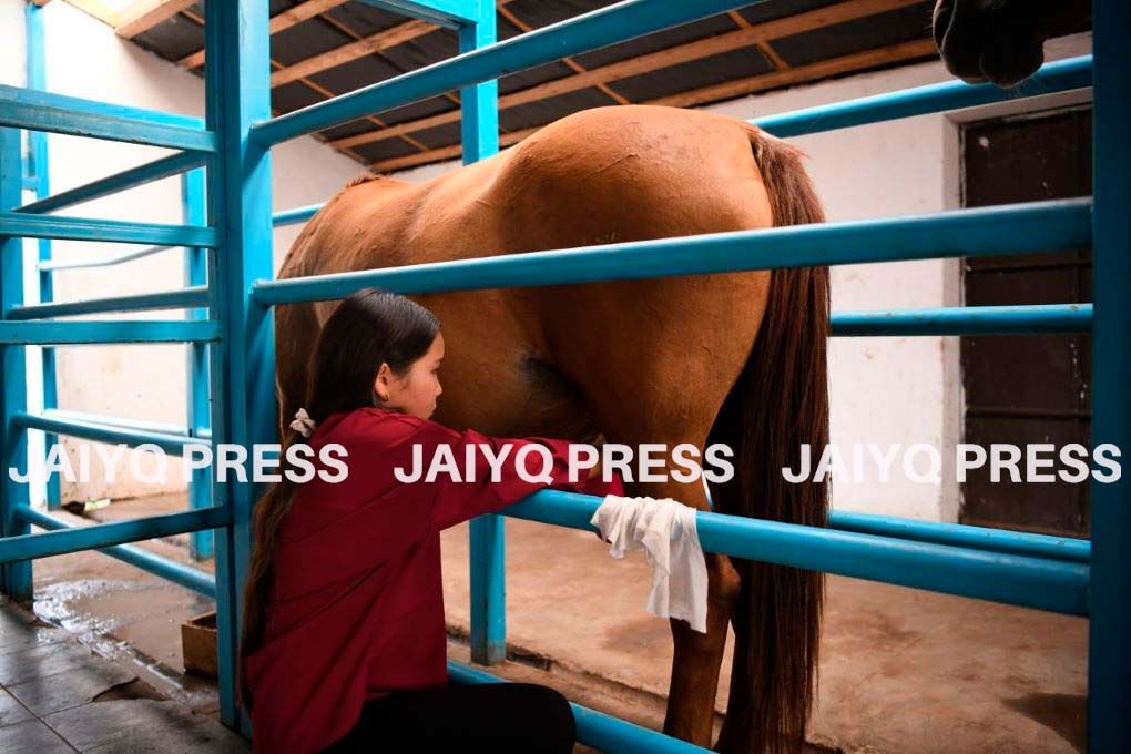 саумал бие жп