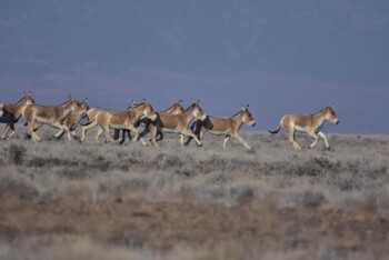 404704e8a14e5803bd020c2dc8559e8c_1280x720